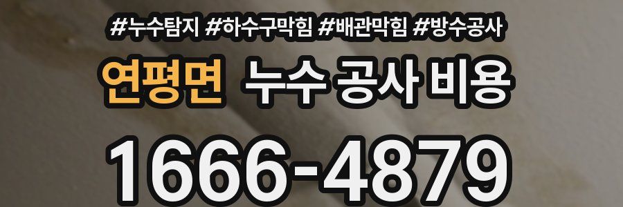 연평면 누수 공사 비용