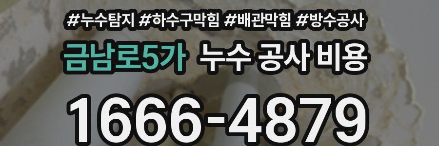 금남로5가 누수 공사 비용