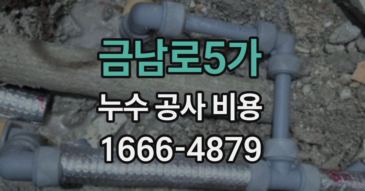 금남로5가 누수 공사 비용