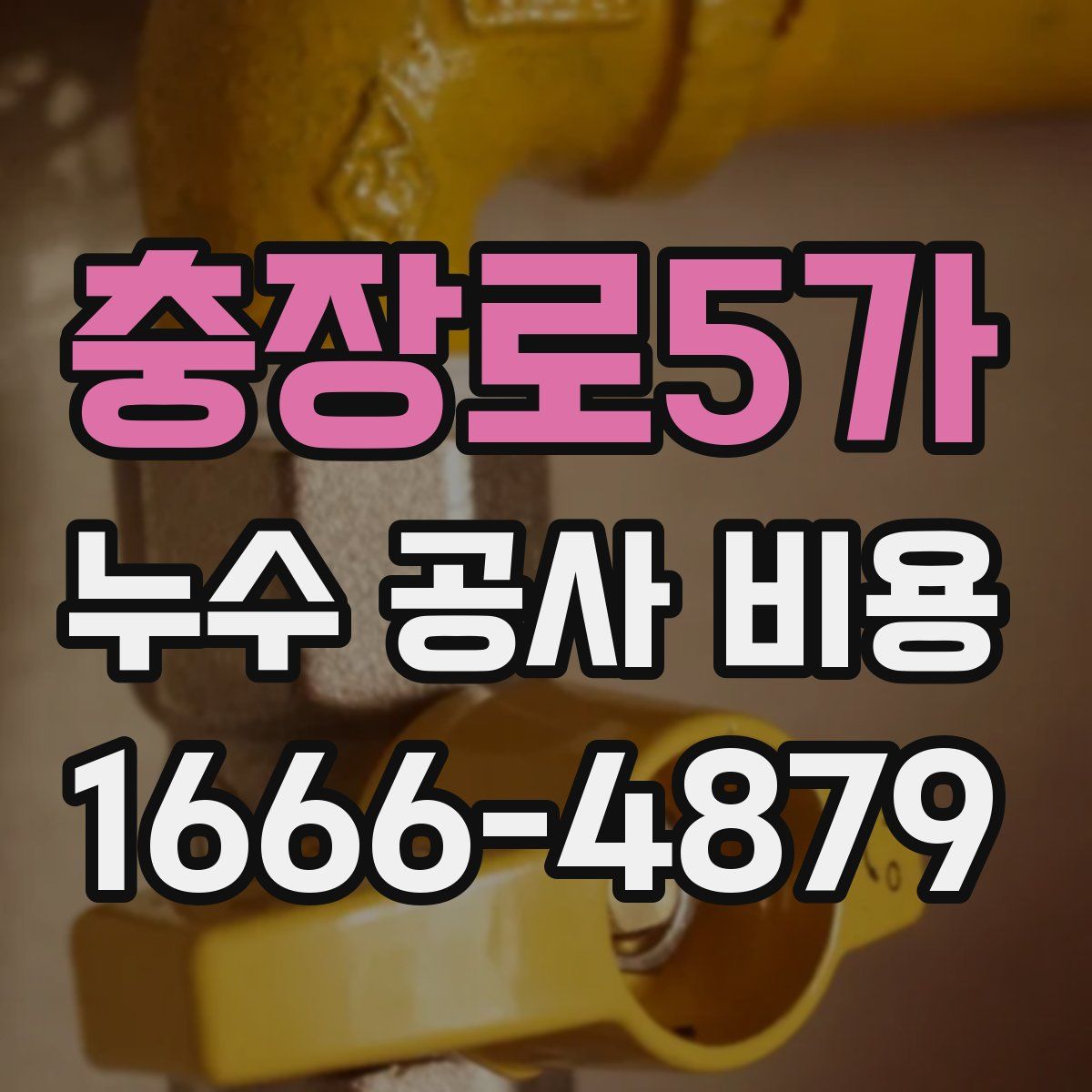 충장로5가 누수 공사 비용