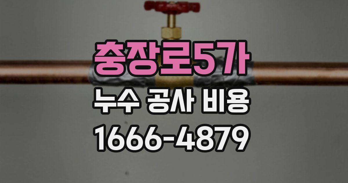 충장로5가 누수 공사 비용