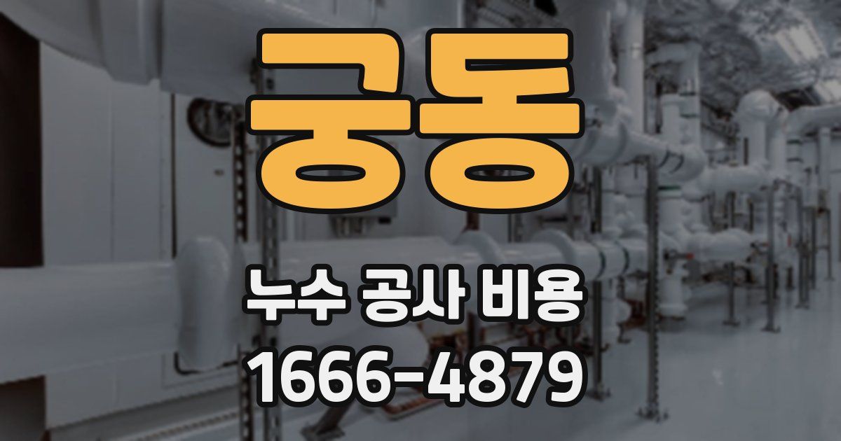 궁동 누수 공사 비용