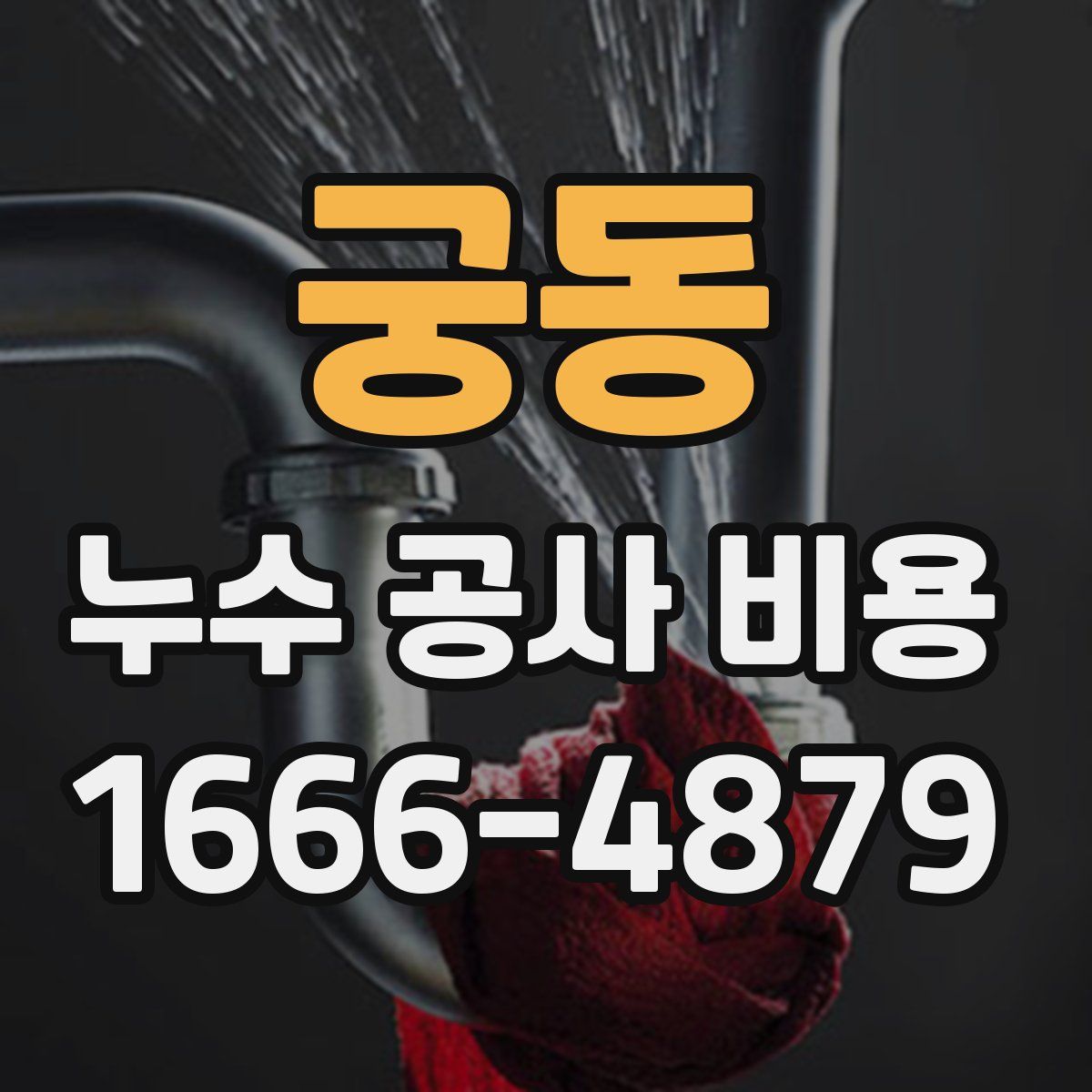 궁동 누수 공사 비용