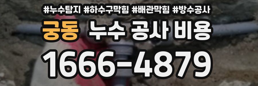궁동 누수 공사 비용