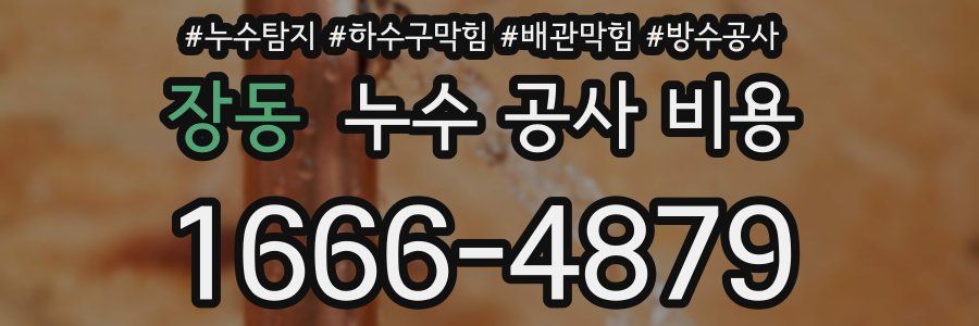 장동 누수 공사 비용