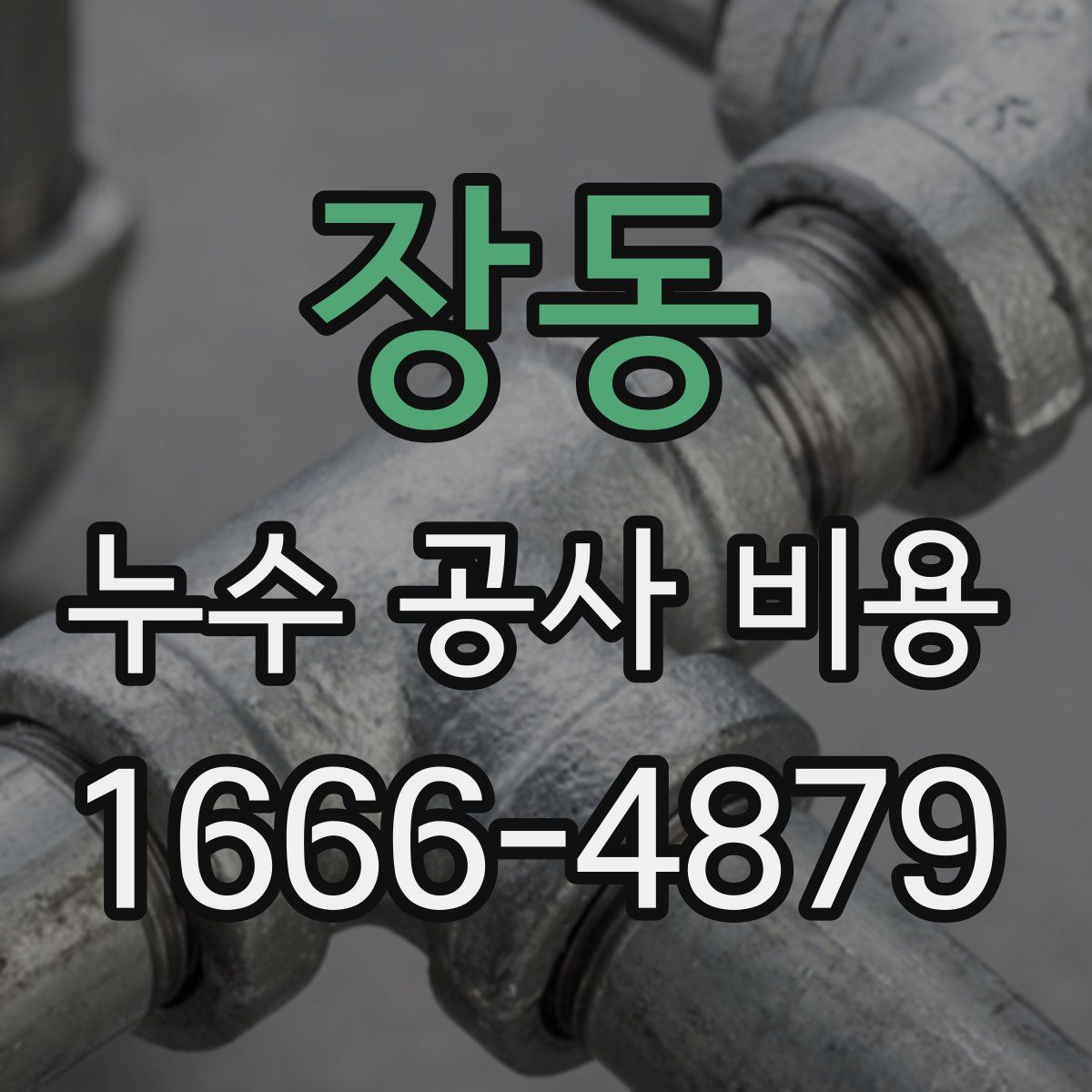 장동 누수 공사 비용