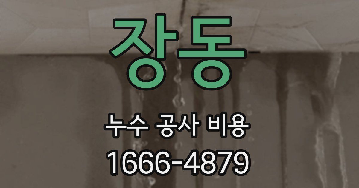 장동 누수 공사 비용