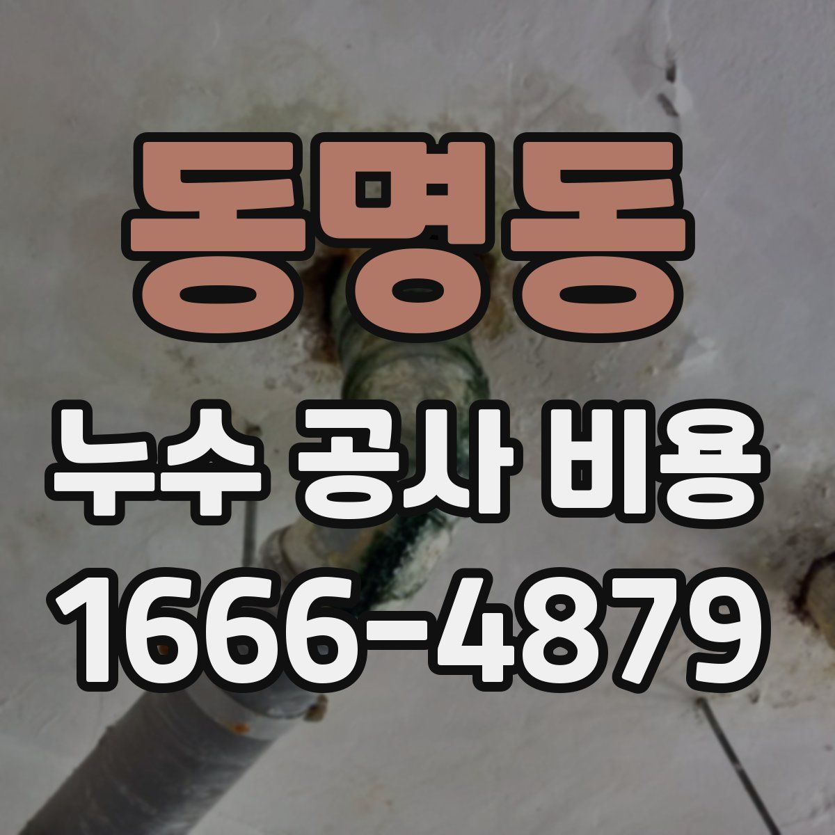 동명동 누수 공사 비용
