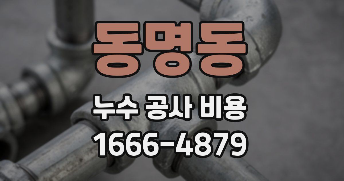동명동 누수 공사 비용