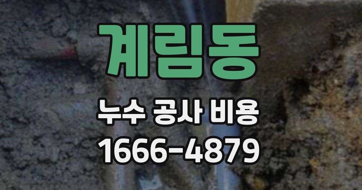 계림동 누수 공사 비용