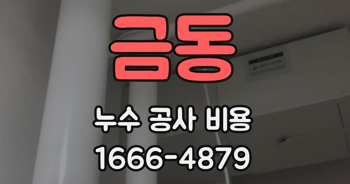 금동 누수 공사 비용