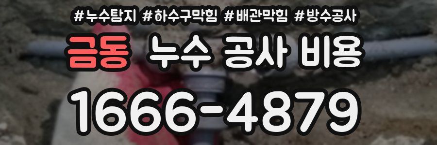 금동 누수 공사 비용