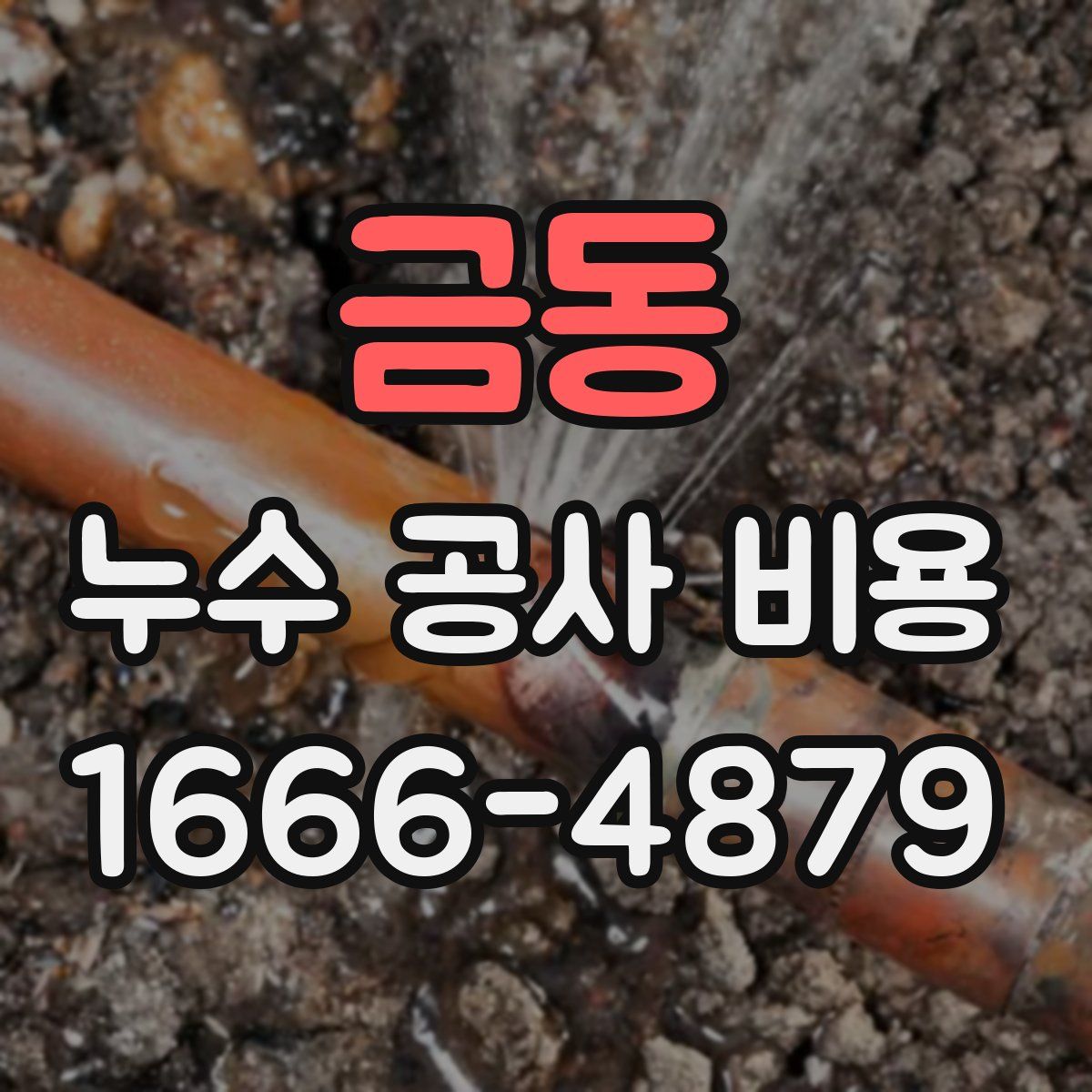 금동 누수 공사 비용