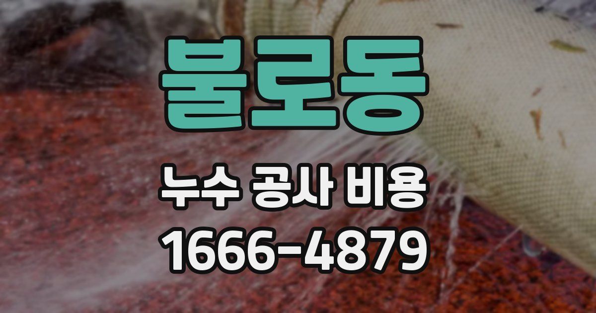 불로동 누수 공사 비용