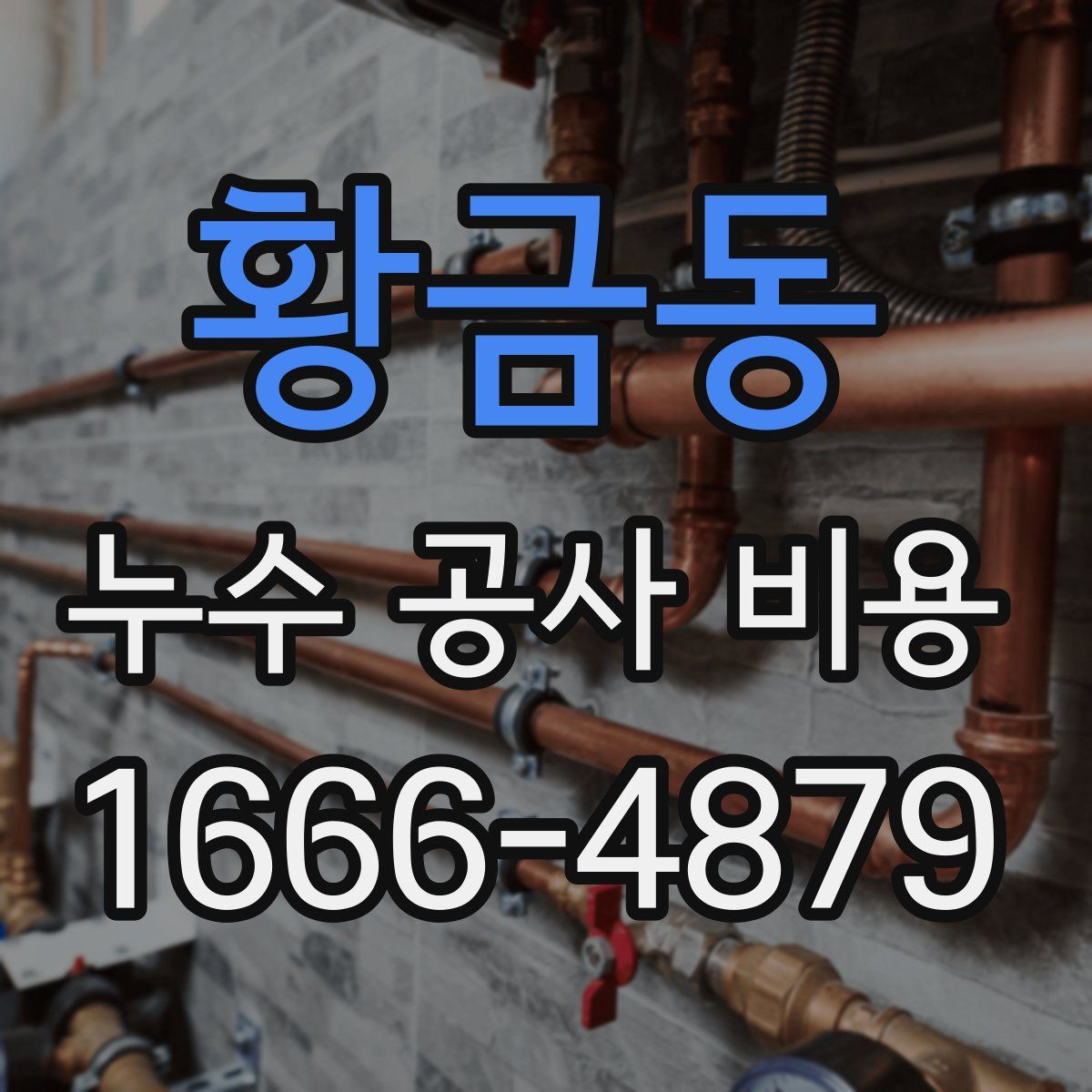 황금동 누수 공사 비용