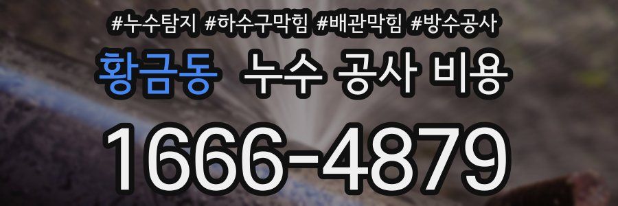 황금동 누수 공사 비용