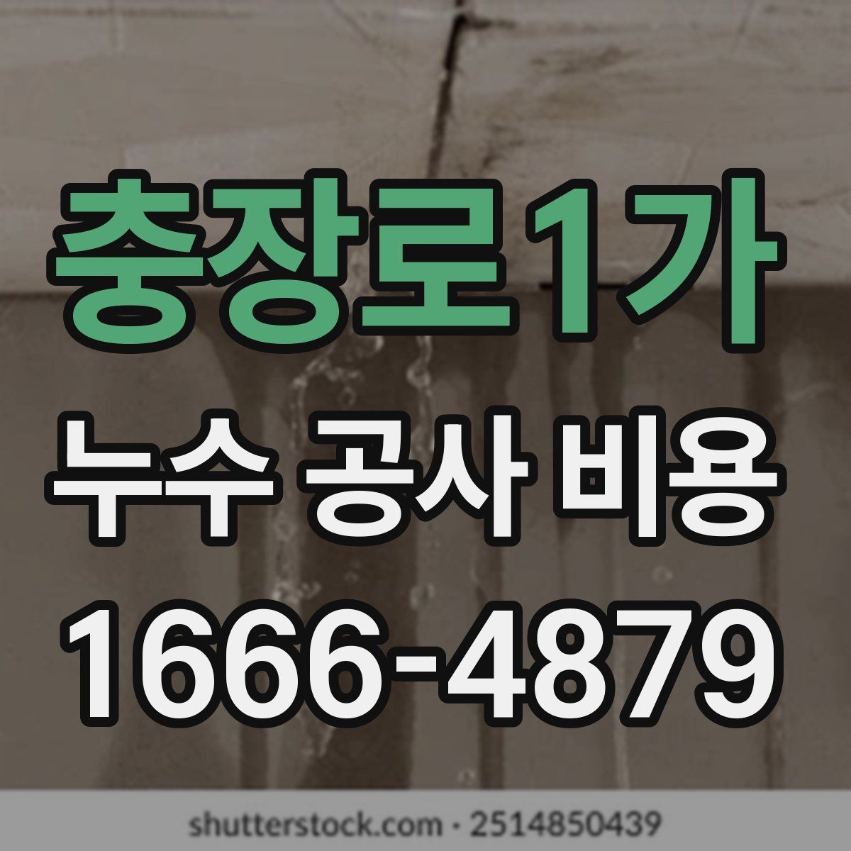 충장로1가 누수 공사 비용