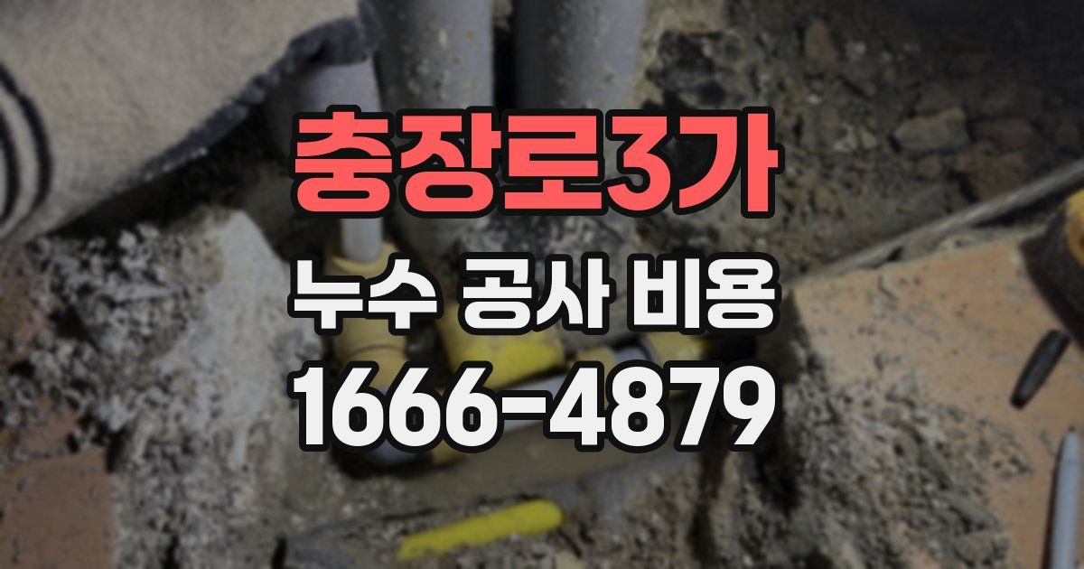 충장로3가 누수 공사 비용