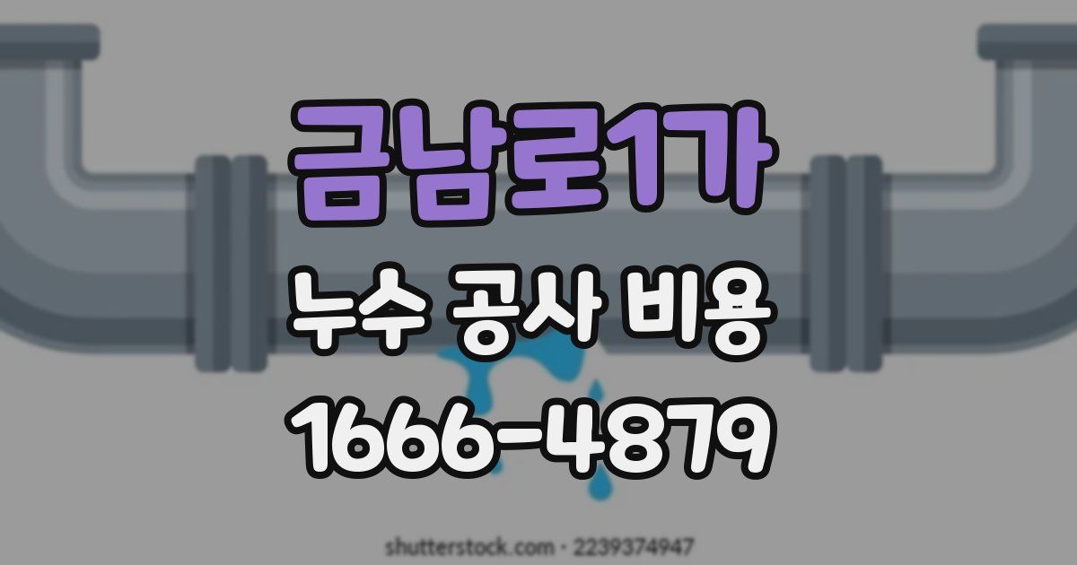 금남로1가 누수 공사 비용