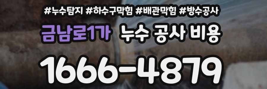 금남로1가 누수 공사 비용