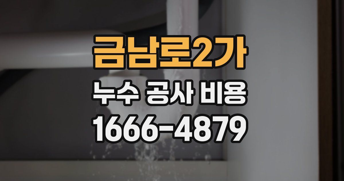 금남로2가 누수 공사 비용