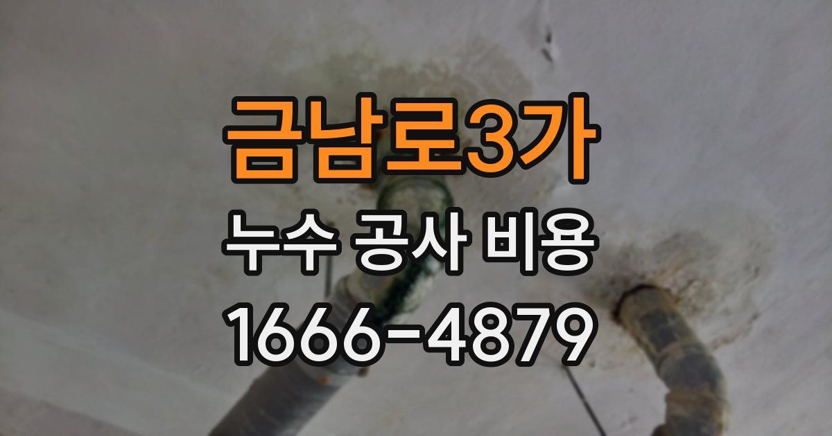 금남로3가 누수 공사 비용