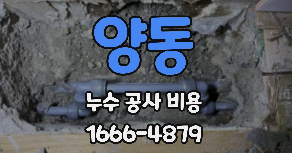 양동 누수 공사 비용