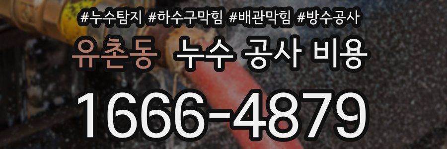 유촌동 누수 공사 비용