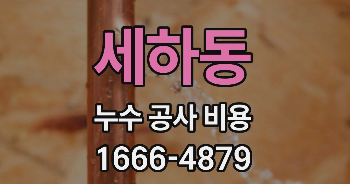 세하동 누수 공사 비용
