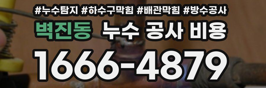 벽진동 누수 공사 비용