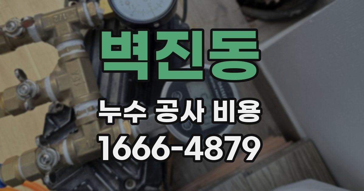벽진동 누수 공사 비용