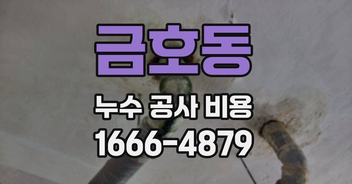 금호동 누수 공사 비용