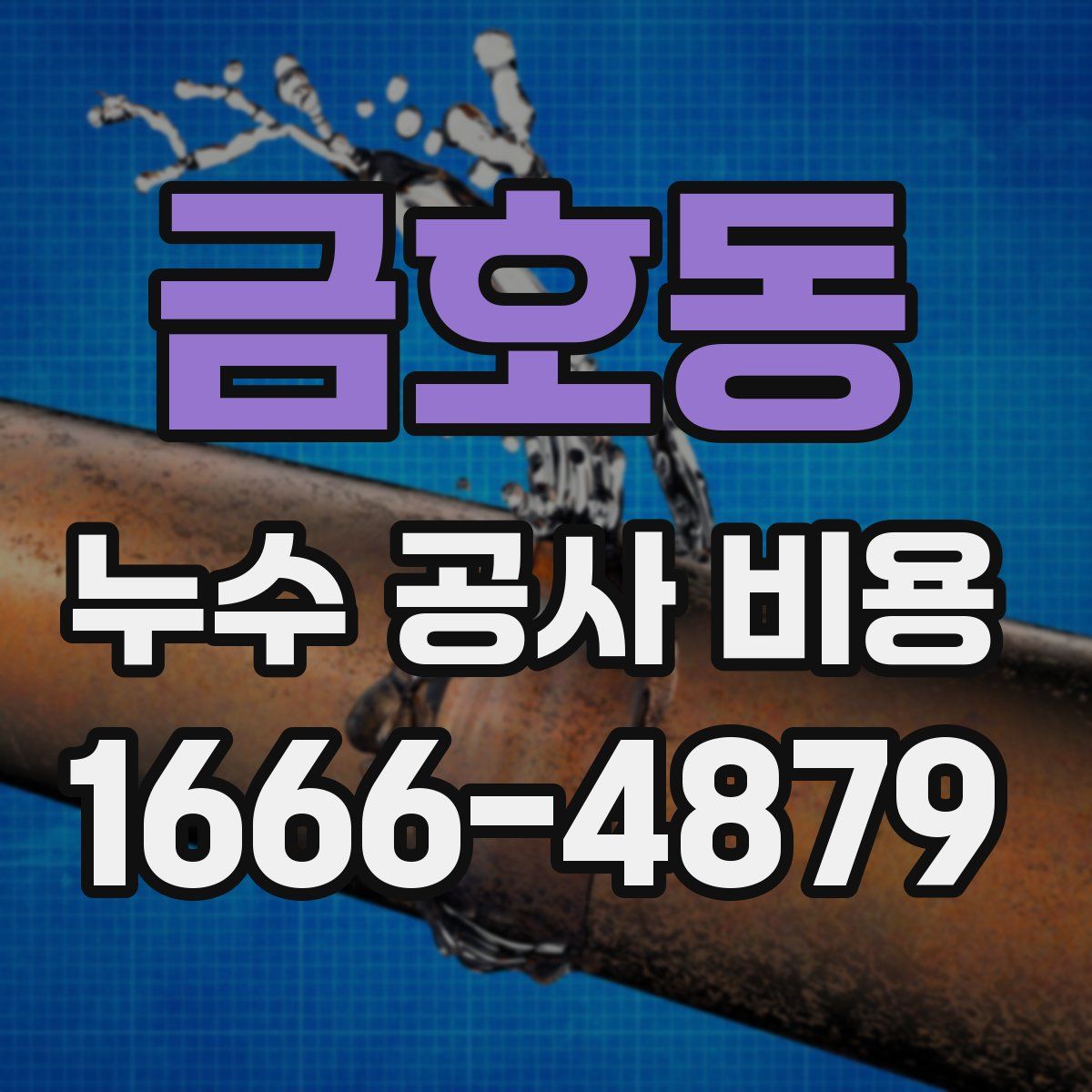 금호동 누수 공사 비용