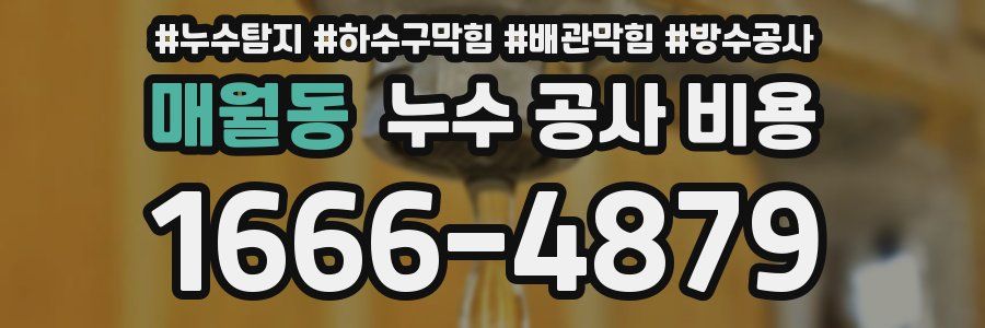 매월동 누수 공사 비용