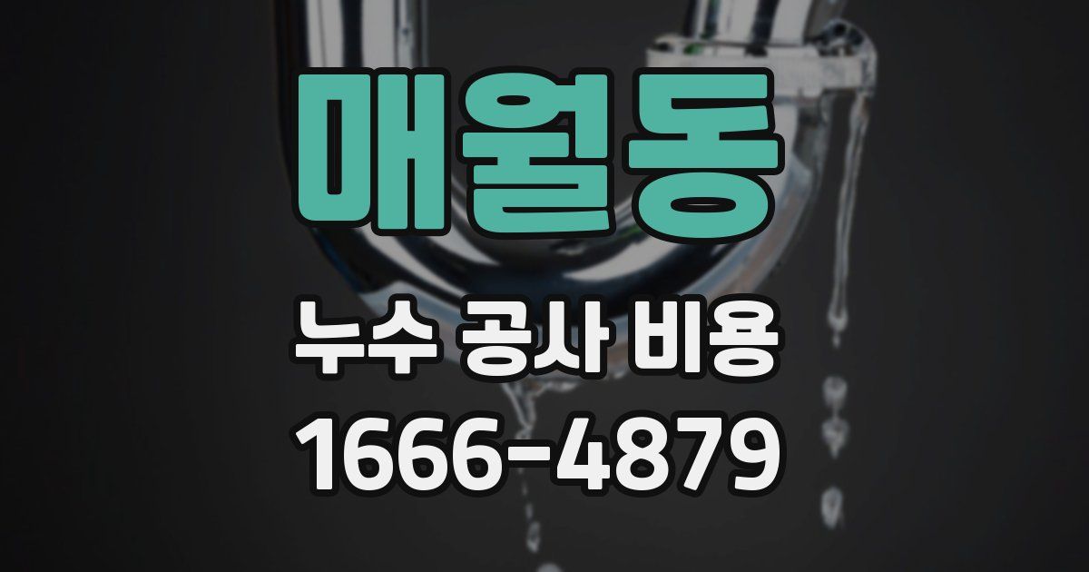 매월동 누수 공사 비용
