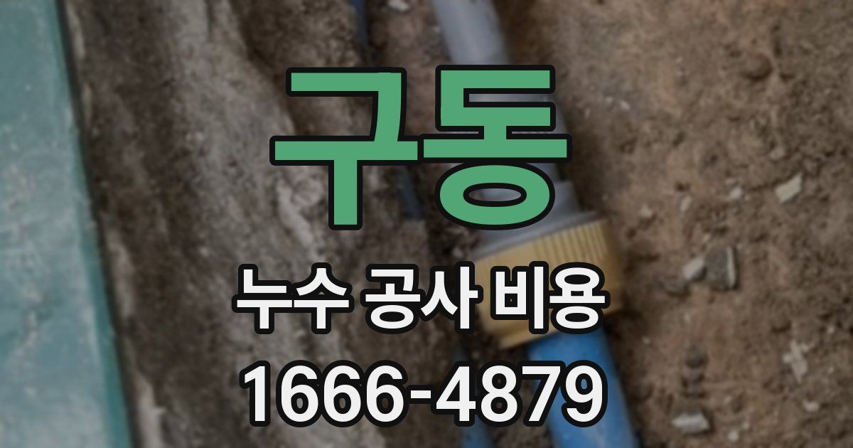 구동 누수 공사 비용