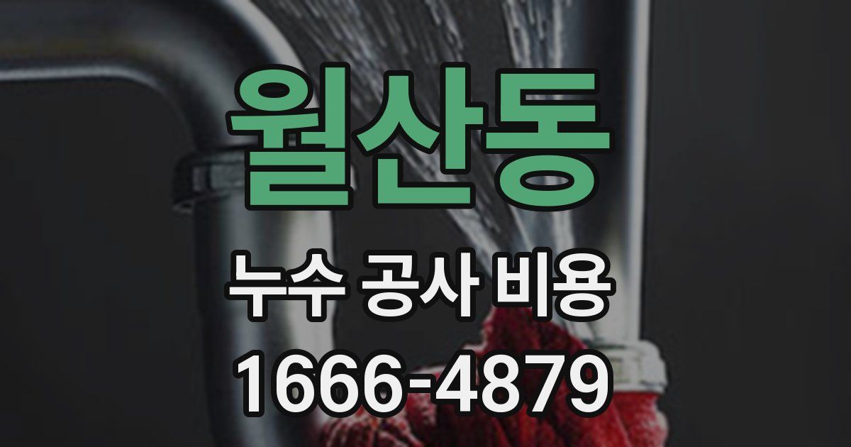 월산동 누수 공사 비용