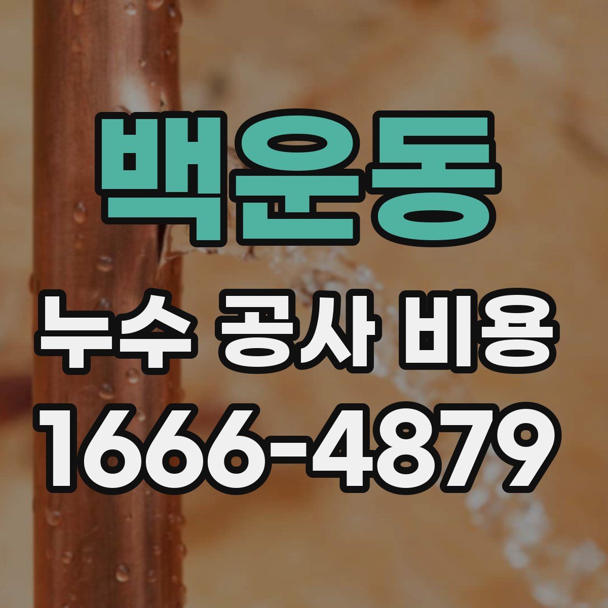 백운동 누수 공사 비용