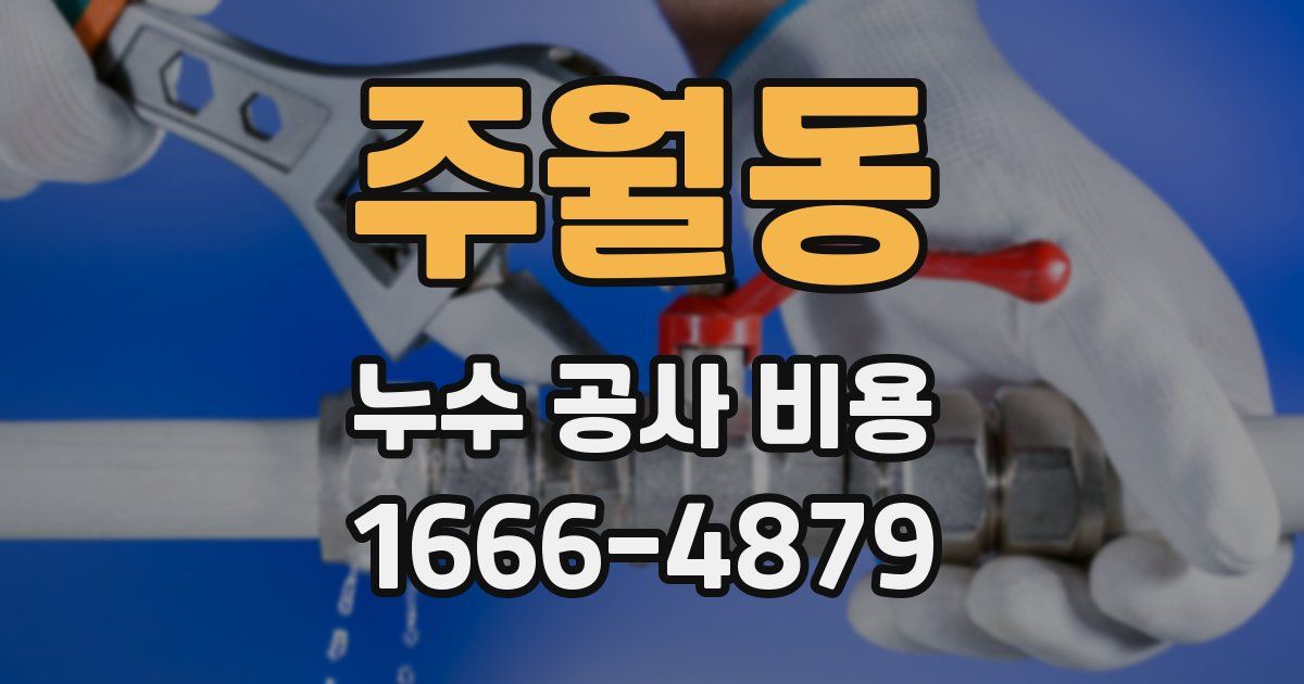 주월동 누수 공사 비용