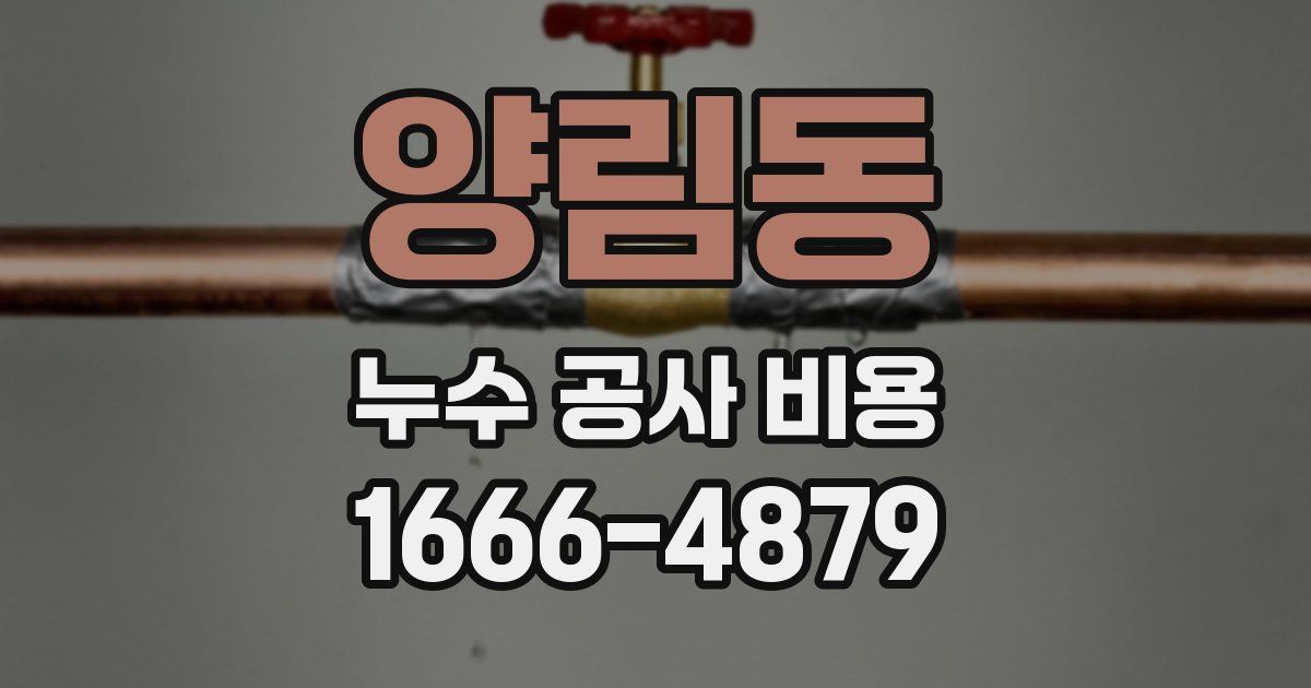 양림동 누수 공사 비용