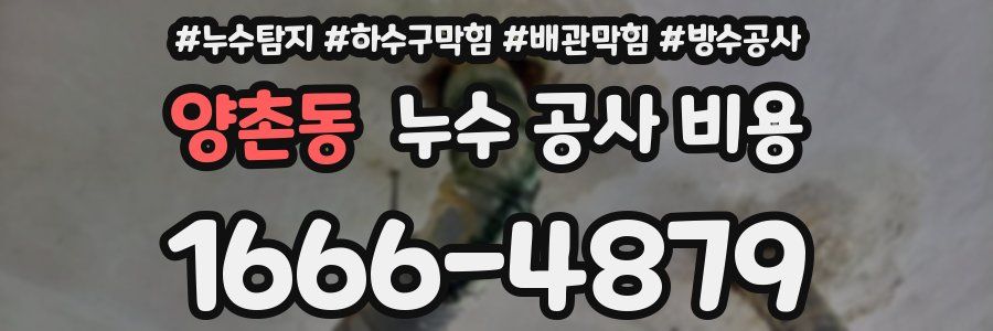 양촌동 누수 공사 비용