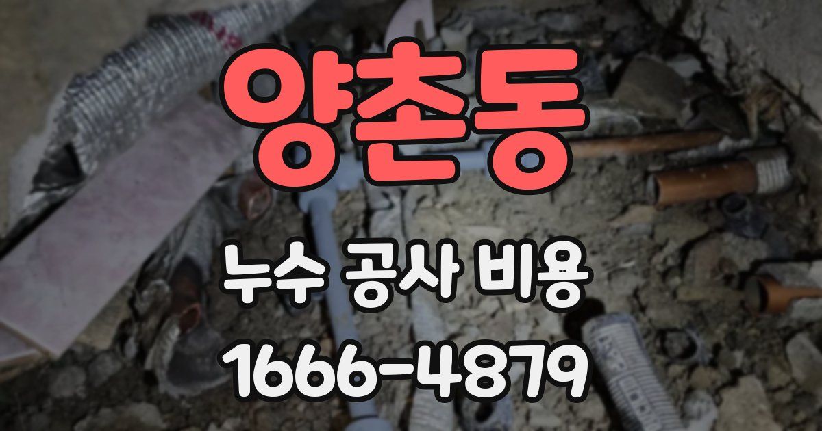 양촌동 누수 공사 비용