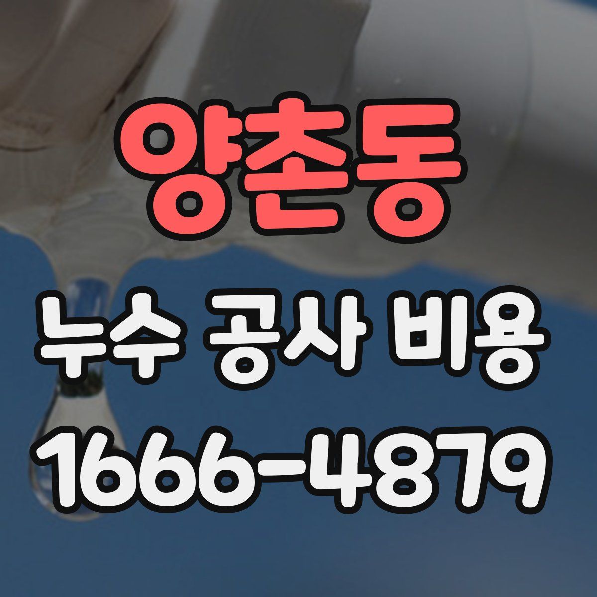 양촌동 누수 공사 비용