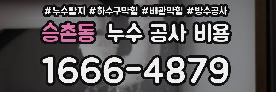 승촌동 누수 공사 비용