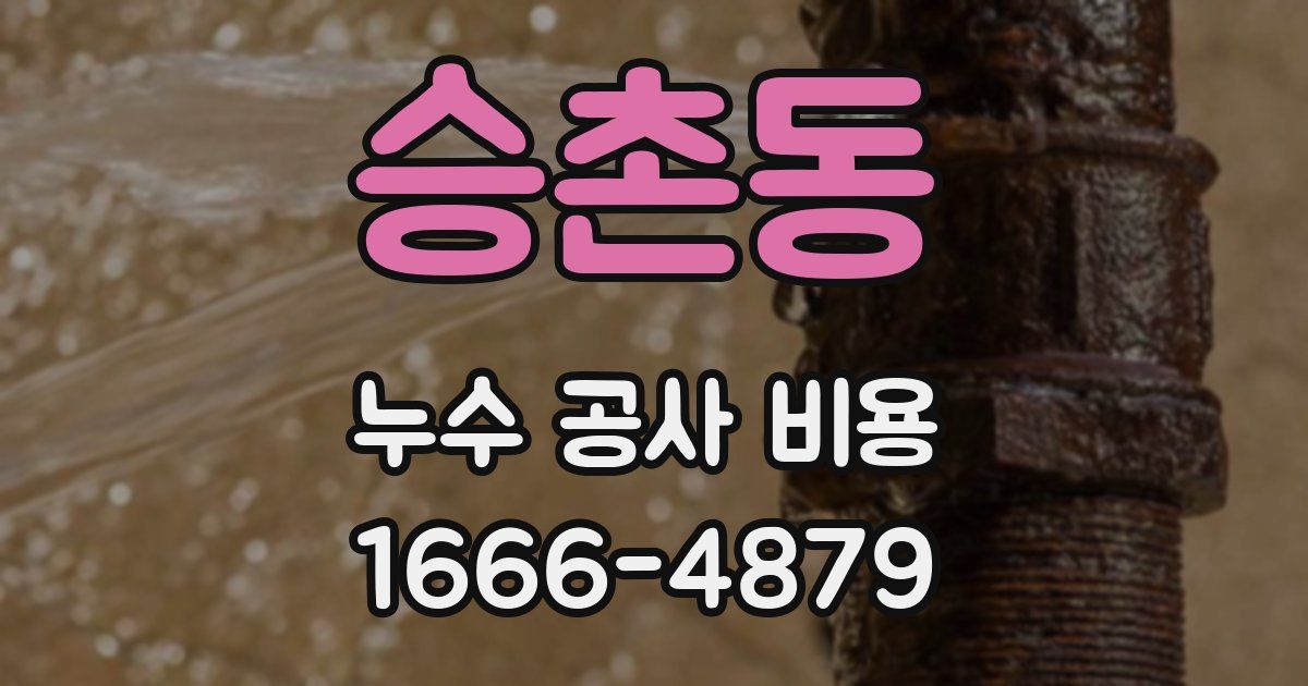 승촌동 누수 공사 비용