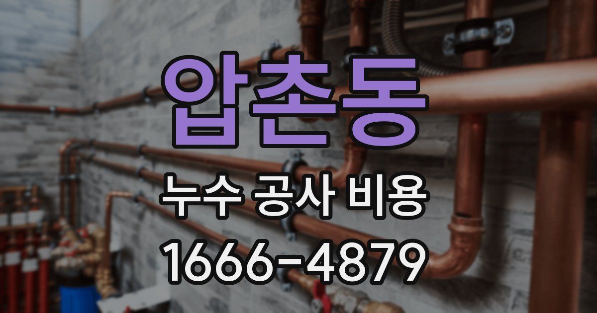 압촌동 누수 공사 비용