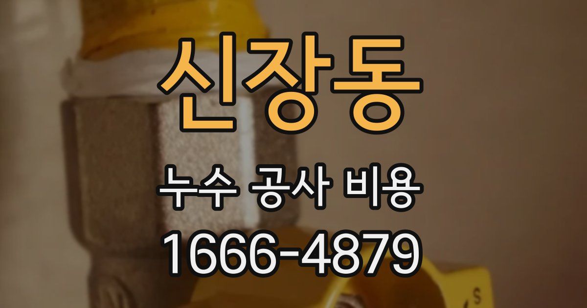 신장동 누수 공사 비용