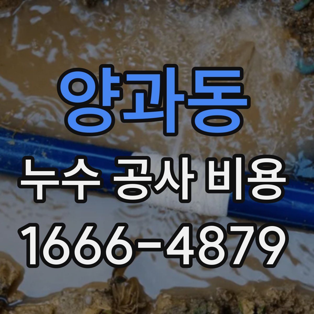 양과동 누수 공사 비용