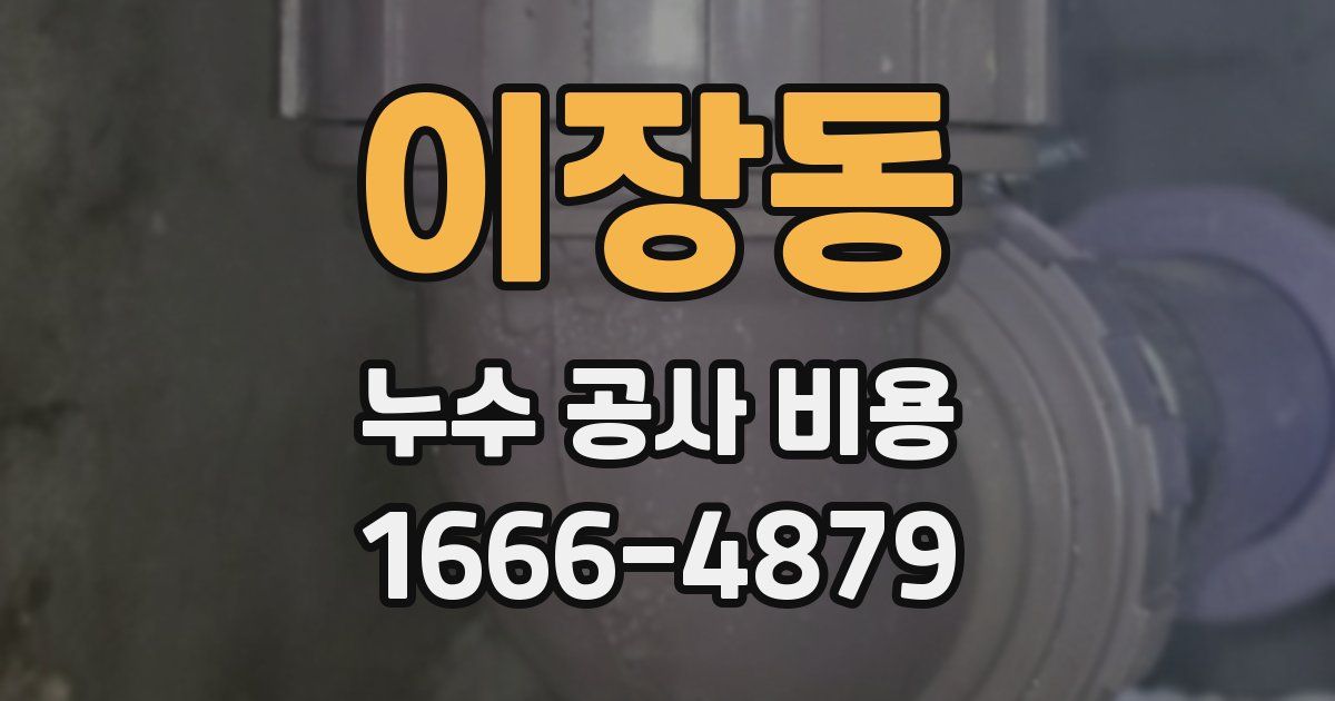 이장동 누수 공사 비용