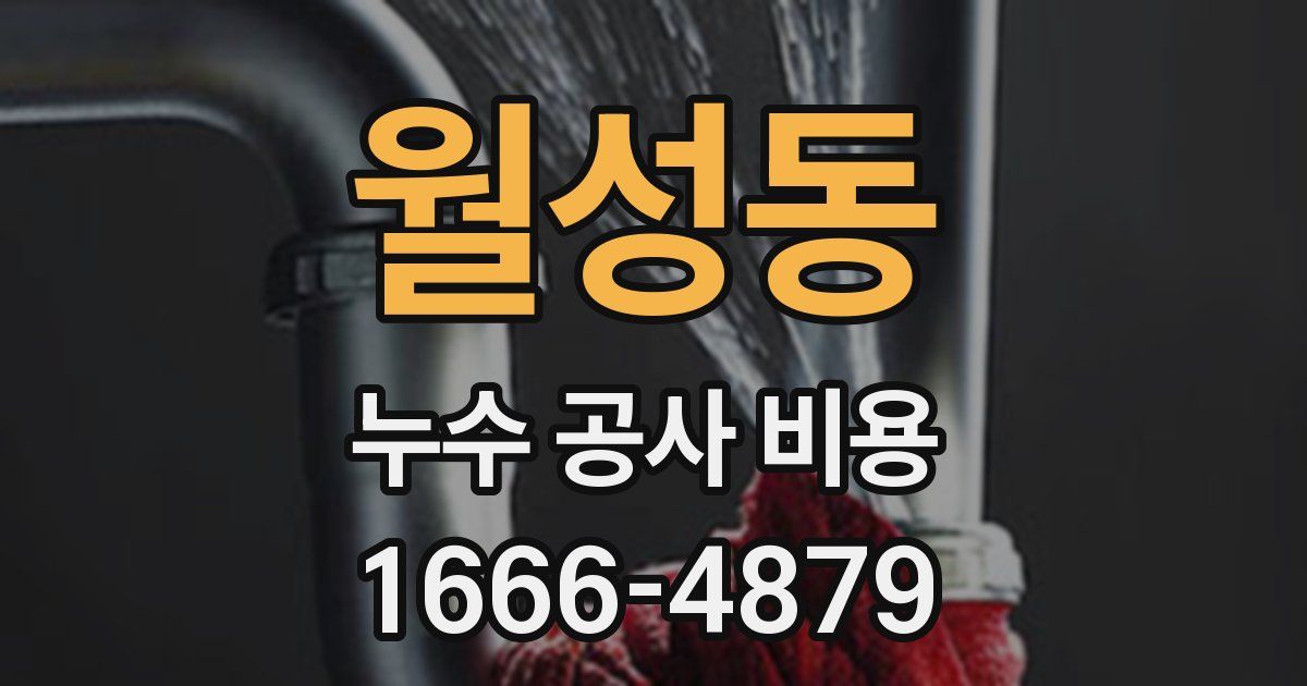 월성동 누수 공사 비용